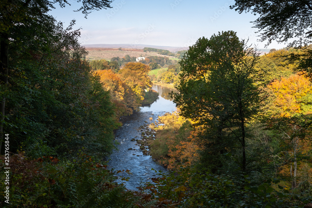 Obraz premium River Wharfe, autumn light