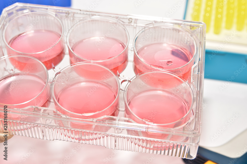 Cell technologies in biological research. Cell technologies in biological research.