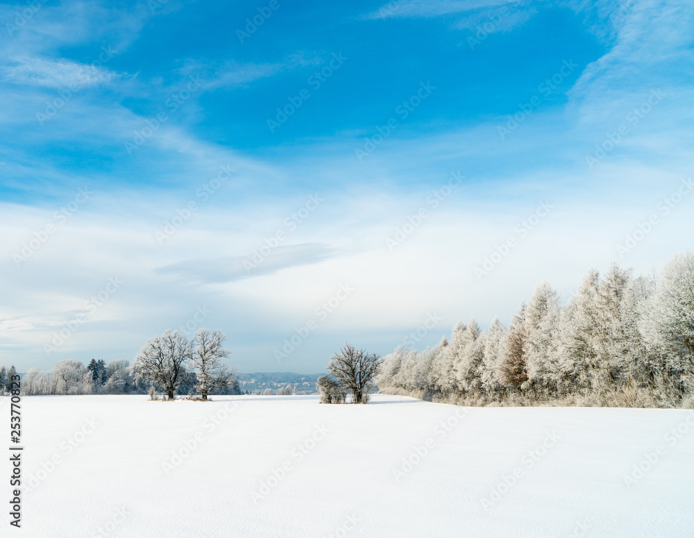 Winterfrieden Winterfrieden