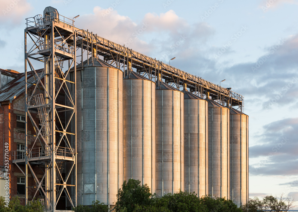 Rural tall steel grain and feed silos in late afternoon light. Rural tall steel grain and feed silos in late afternoon light.
