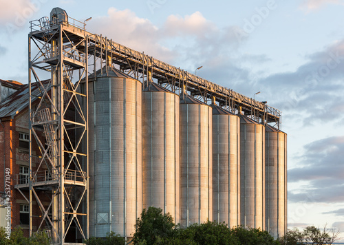 Rural tall steel grain and feed silos in late afternoon light.