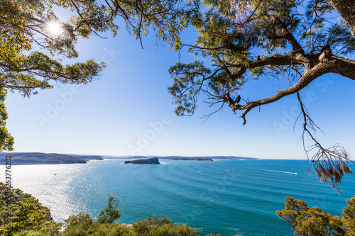 A view to Lion Island and the blue waters of the Hawksbury, Sydney, framed by leaves and tree branches, looking into the light.