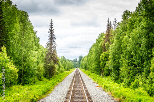 Railroad to Denali National Park, Alaska photo