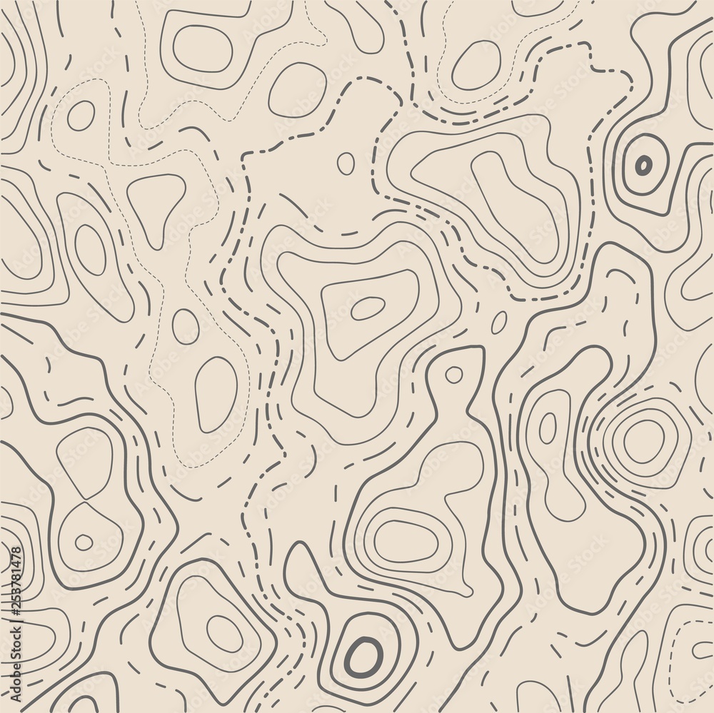 Fototapeta premium topographic map patterns.