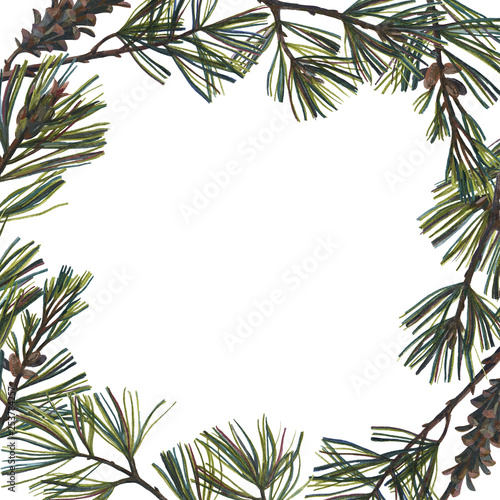 Botanic card isolated on white. Invitation design with pine branches and pine cones. Floral frame drawn by color pencils. Background in vintage style great for postcards, wedding decor, placing text, 