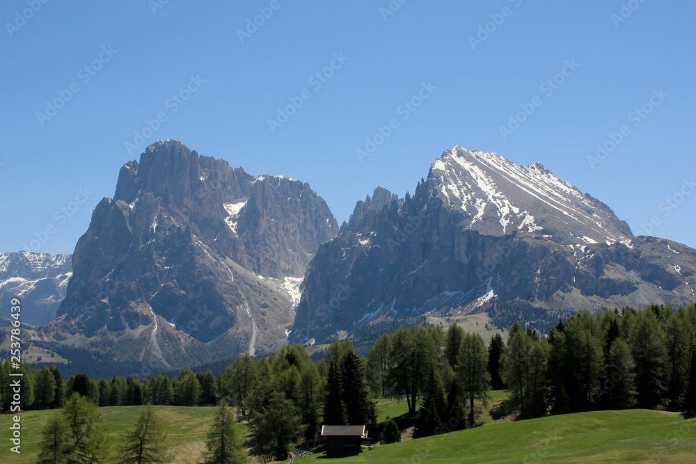 Seiser Alm mit Sella Gebirgsstock, Dolomiten, Südtirol, Italien, Europa