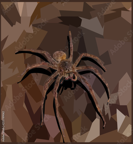 Spider on the stone sitting vector illustration