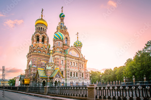 St. Petersburg. Russia. Cat...