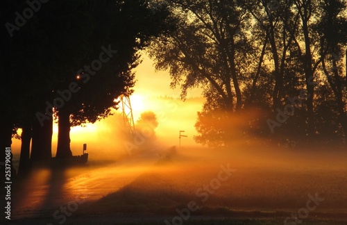 Nebel Nebelschwaden Morgenstimmung Fr  h Tagesanbruch Sonne Sonnenaufgang Sonnenuntergang Morgenrot Weg Stra  e Baum B  ume Stimmungsvoll Stimmung Gegenlicht Sonnenstrahlen Stille Frieden Ruhe