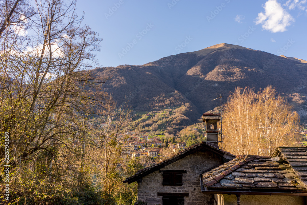 Italy, Lecco, Lake Como, a tree with a mountain in the background