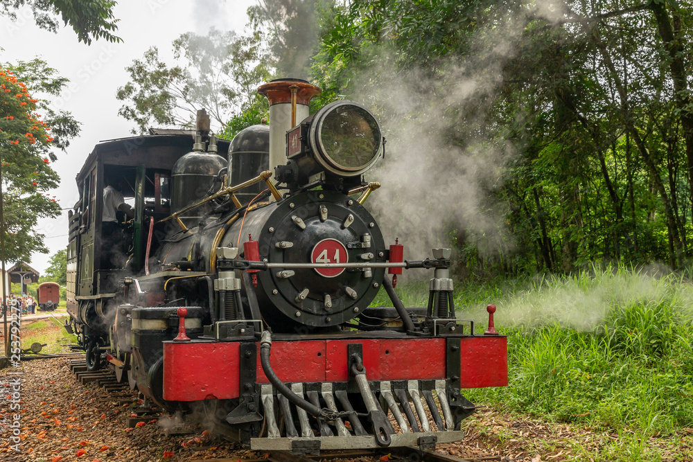 Obraz premium LOCOMOTIVE