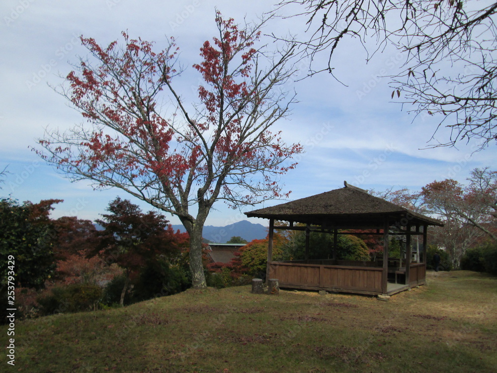日本庭園 日本庭園