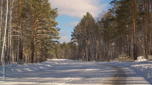 Wallpaper Mural Empty car road and snowy forest in countryside at winter day. Winter landscape snowy car roan and forest. Winter nature concept. Background for composing winter outdoors Torontodigital.ca