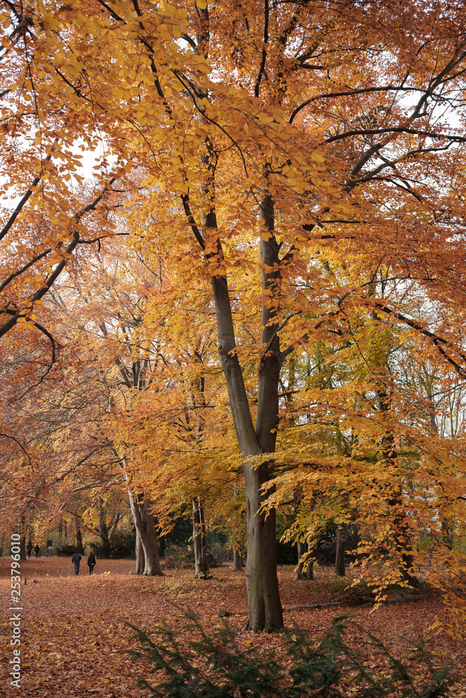 Fototapeta premium Berlin Tiergarten