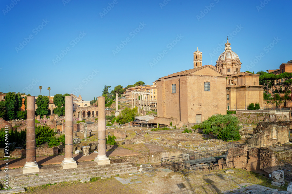 Ruins of the Roman Forum in Rome, Italy