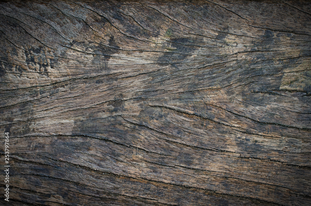 Beautiful pattern old wood background textrue Beautiful pattern old wood background textrue