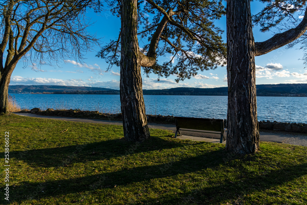 Frühling am schönen Bodensee mit blauen Himmel Mettnau Park Frühling am schönen Bodensee mit blauen Himmel Mettnau Park