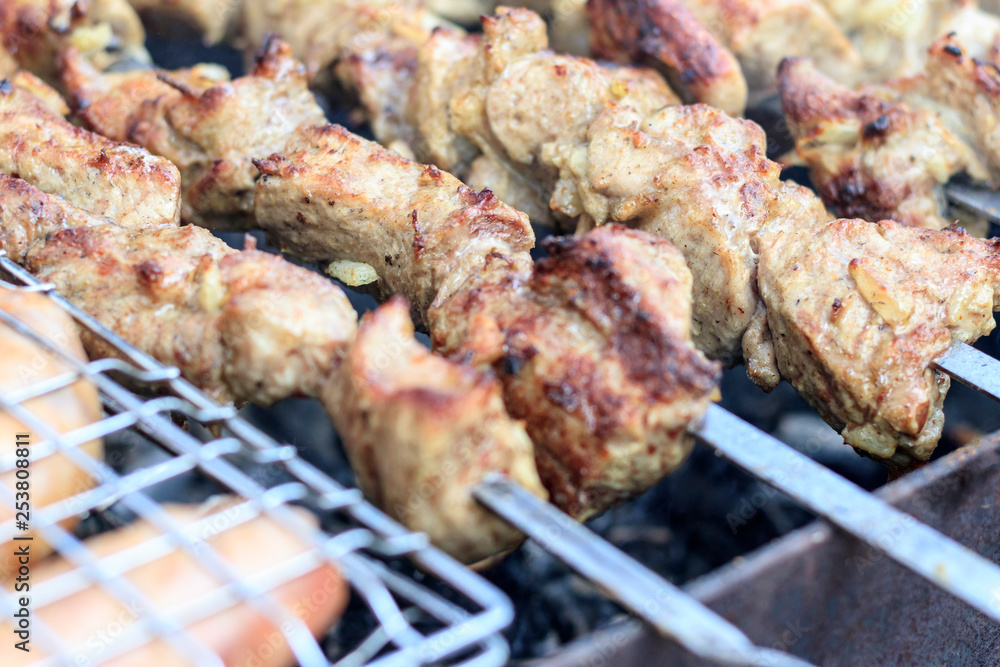 picnic. small grill. on it is cooking kebabs. shallow depth of cut. smoke and frying are real