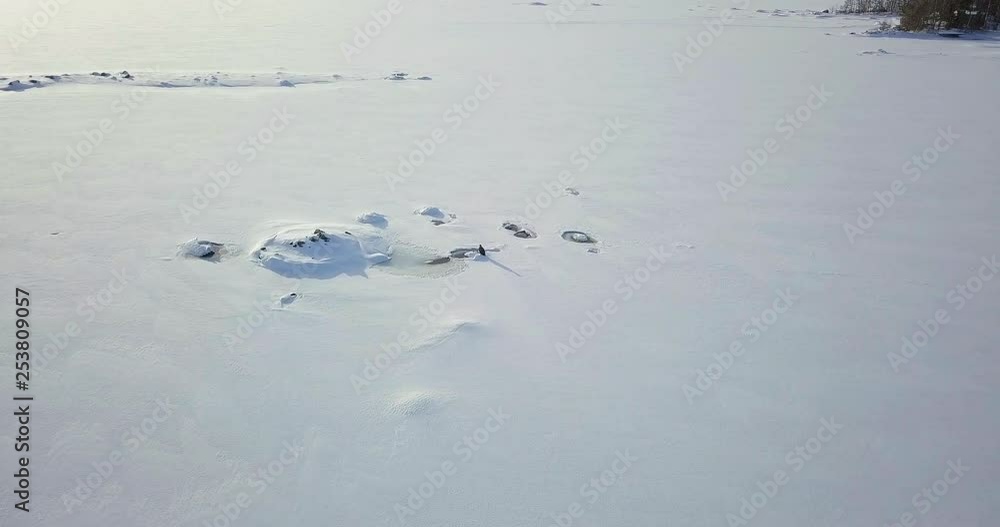 Aerial, descending, drone shot, of a white-tailed eagle, Haliaeetus albicilla, on a rock, at the frozen, snowy sea, on a sunny, winter day, in the Kvarken archipelago, Vaasa, Ostrobothnia, Finland Aerial, descending, drone shot, of a white-tailed eagle, Haliaeetus albicilla, on a rock, at the frozen, snowy sea, on a sunny, winter day, in the Kvarken archipelago, Vaasa, Ostrobothnia, Finland