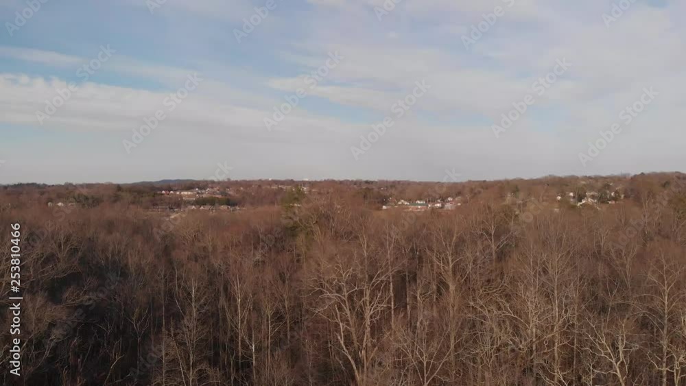 Rising aerial shot to top of tree lines Rising aerial shot to top of tree lines