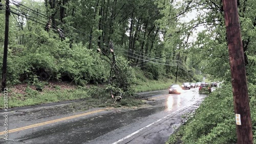 Cars Drive by Fallen Tree from Storm photo