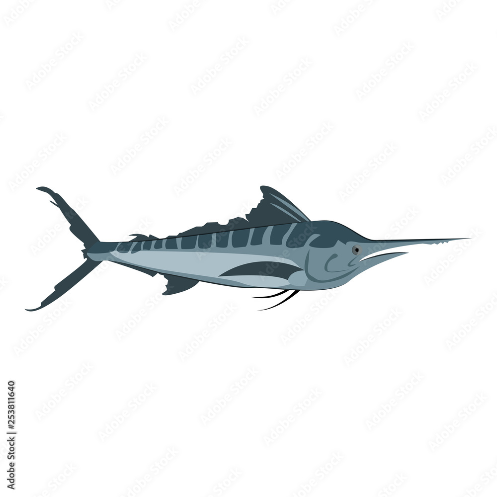 Atlantic blue marlin. Saltwater swordfish with long and stout bill. Can be used for topics like fishing, seafood, hobby Atlantic blue marlin. Saltwater swordfish with long and stout bill. Can be used for topics like fishing, seafood, hobby