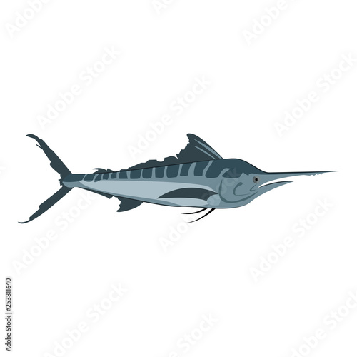 Atlantic blue marlin. Saltwater swordfish with long and stout bill. Can be used for topics like fishing  seafood  hobby