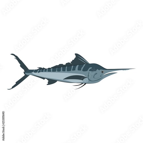 Atlantic blue marlin. Saltwater swordfish with long and stout bill. Can be used for topics like fishing, seafood, hobby