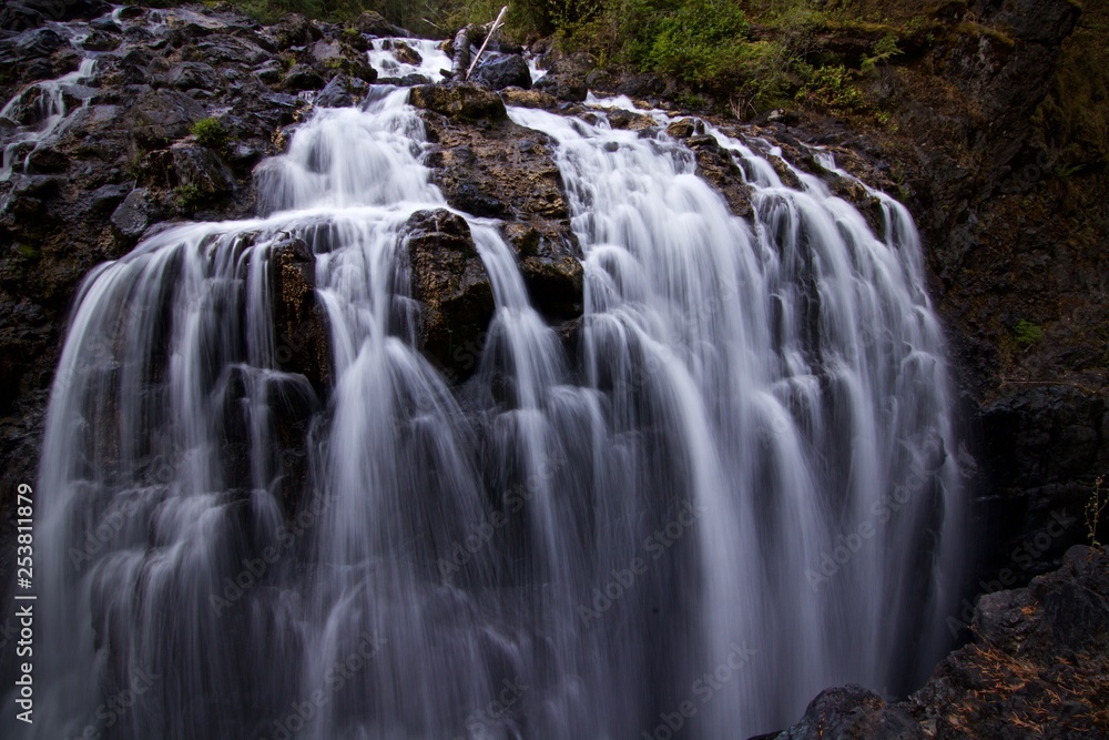waterfall in the forest waterfall in the forest