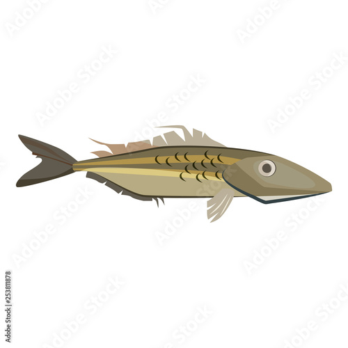 Common ling fish. Long and slender cod like fish. Can be used for topics like fishing, animal, aquarium