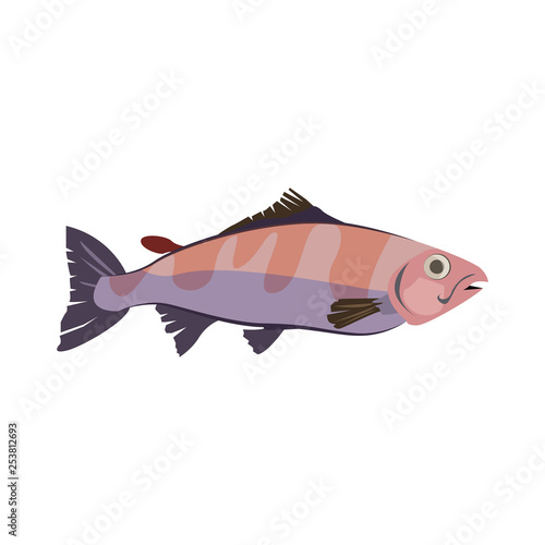 Tropical water bonefish. Atlantic mackerel fish. Can be used for topics like seafood, fishing, animal