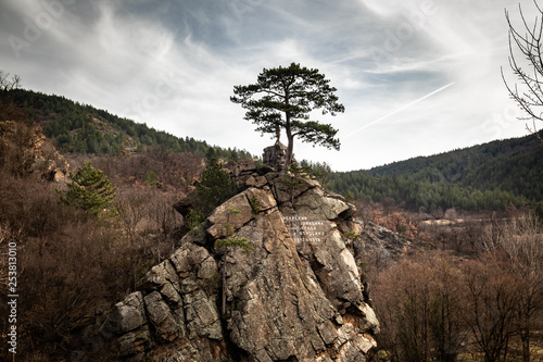 One wood on top of stone near the river and monument dedicated to the victims of WWI. River Ibar in Serbia near the Raska town. photo