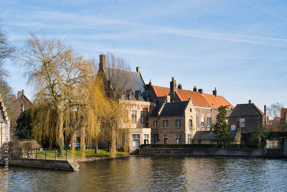 Obraz premium BRUGES, BELGIUM - FEBRUARY 17, 2019: tree on the canal bank, medieval architecture of buildings