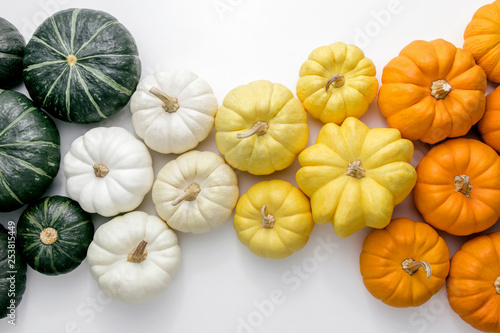 Colorful pumpkins on a white background, creative flat lay thanksgiving concept, top view