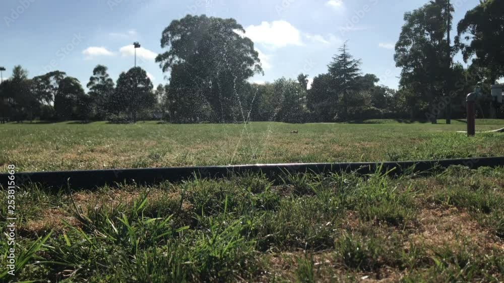 Black hose pipe with multiple leaks spraying water on the green grass Black hose pipe with multiple leaks spraying water on the green grass