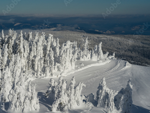 Snow Ghost in Sun Peaks Resort, Sun Peaks, British Columbia, Canada