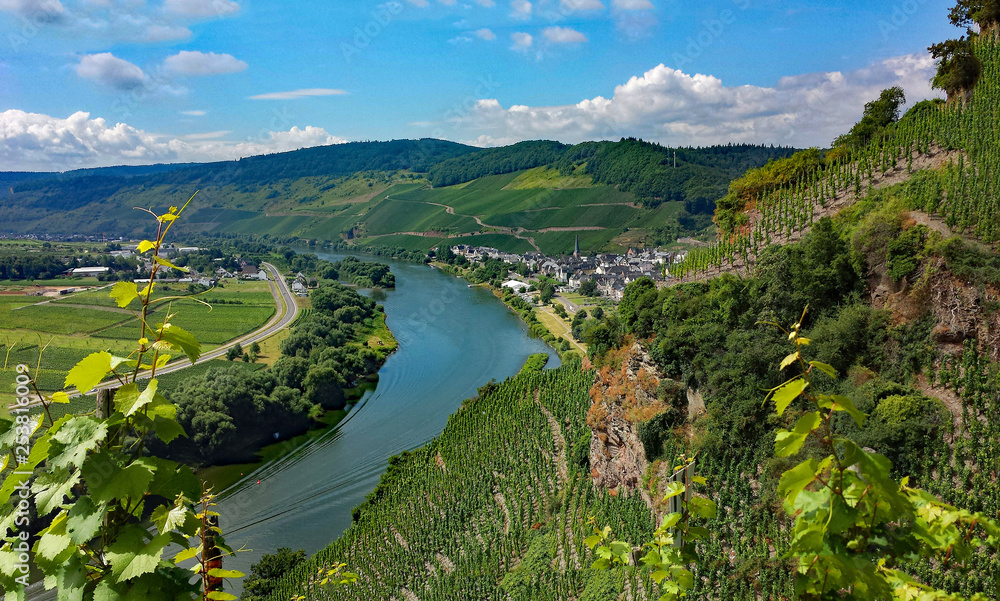 Die Mosel bei Ürzig an der Mittelmosel in Rheinland-Pfalz, Deutschland