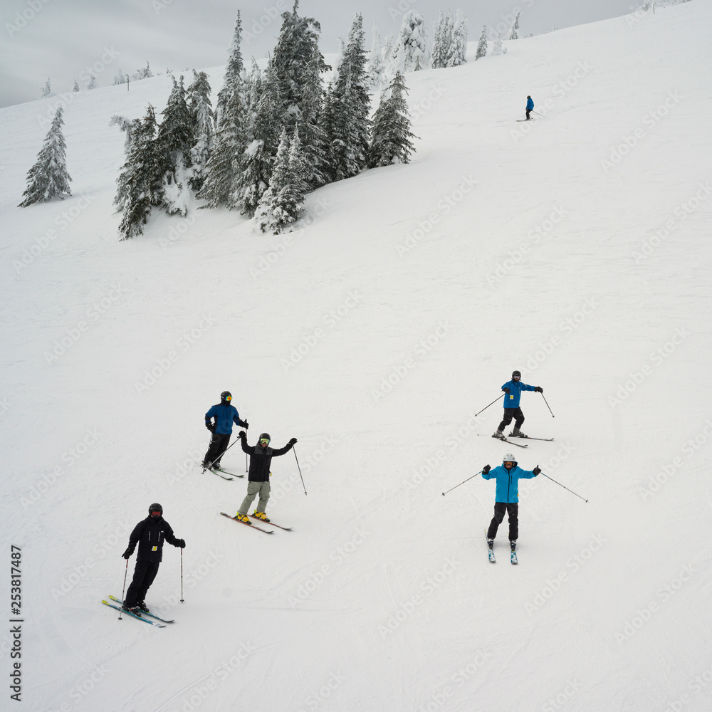 Tourists skiing in a resort, Thompson-Nicola Regional District, Sun Peaks Resort, Sun Peaks, British Columbia, Canada