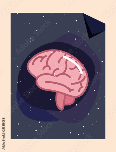 human brain organ