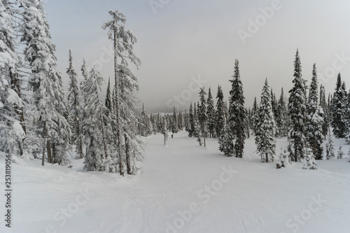 Tourist skiing in Sun Peaks Resort, Sun Peaks, Kamloops, British Columbia, Canada