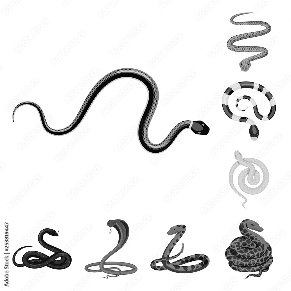 Vector illustration of harm and bite sign. Set of harm and reptile stock symbol for web. Vector illustration of harm and bite sign. Set of harm and reptile stock symbol for web.