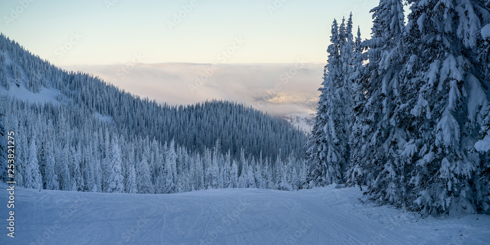 Snow covered trees, Thompson-Nicola Regional District, Sun Peaks Resort, Sun Peaks, British Columbia, Canada