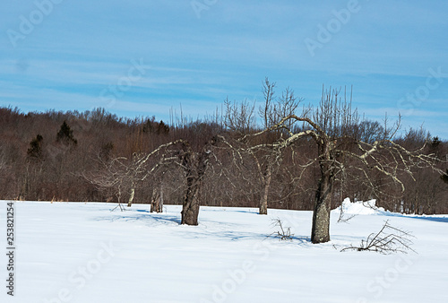 winter landscape © brelsbil