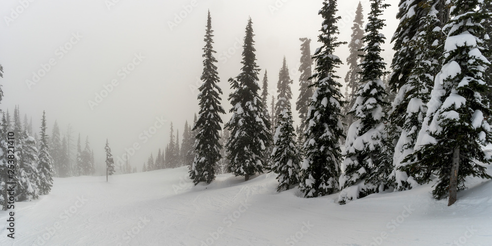 Fototapeta premium Snow covered trees in Sun Peaks Resort, Sun Peaks, Kamloops, British Columbia, Canada