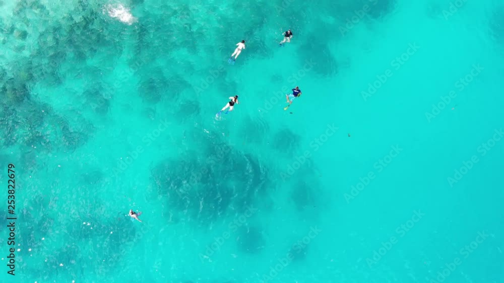 Snorkelers over reef in Seychelles Snorkelers over reef in Seychelles
