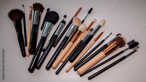 a set of professional makeup brushes