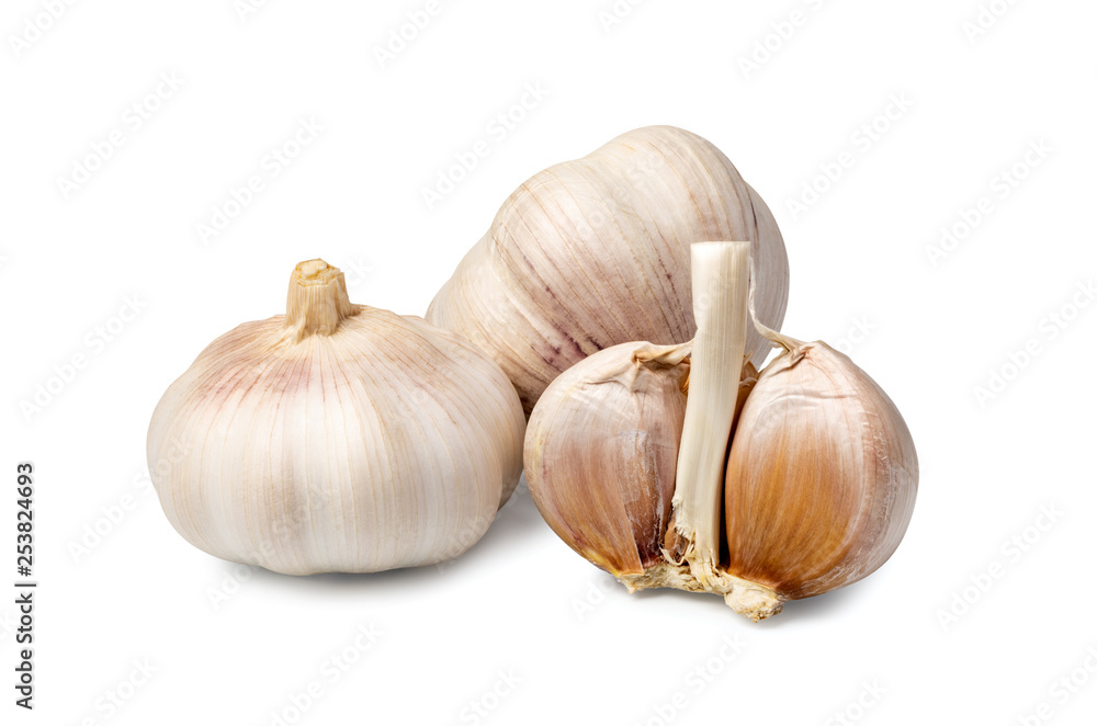 Obraz premium Garlic