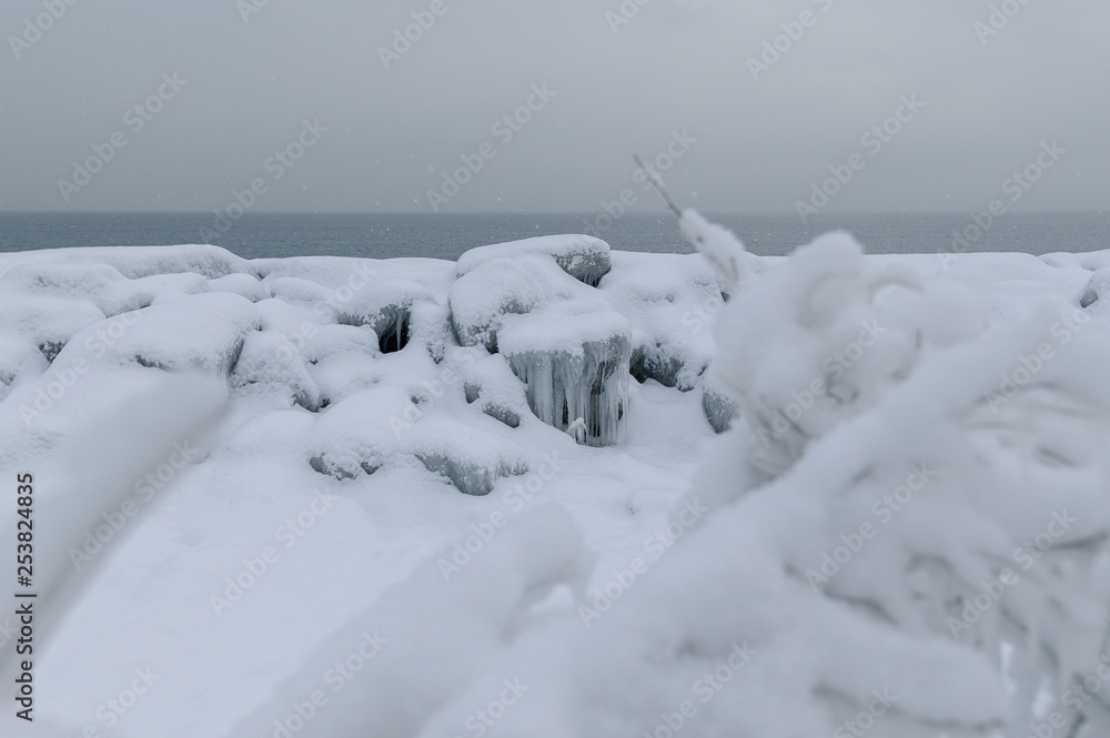 winter landscape