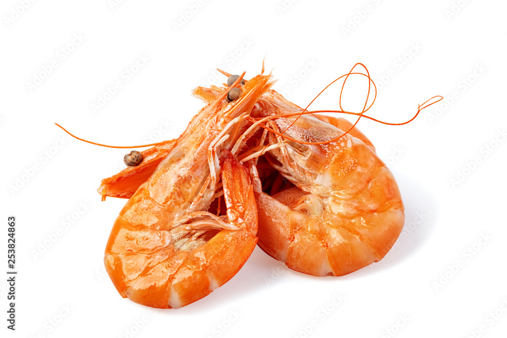 shrimp shrimp
