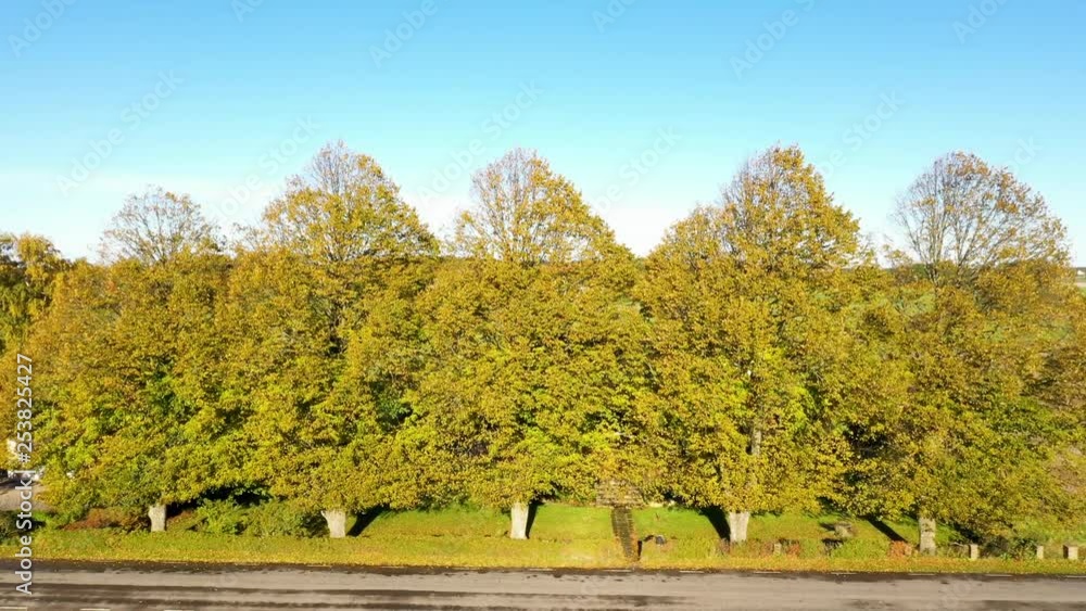 Aerial view of big trees with autumn colours alongside road. Blue sky. MOVING FORWARD. Aerial view of big trees with autumn colours alongside road. Blue sky. MOVING FORWARD.